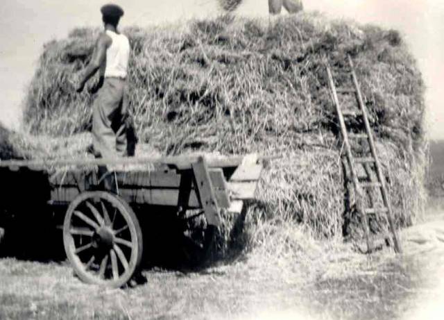 <span class="lokalforeningnavn">Hobro: </span><span class="satelitnavn">Hobro: </span>